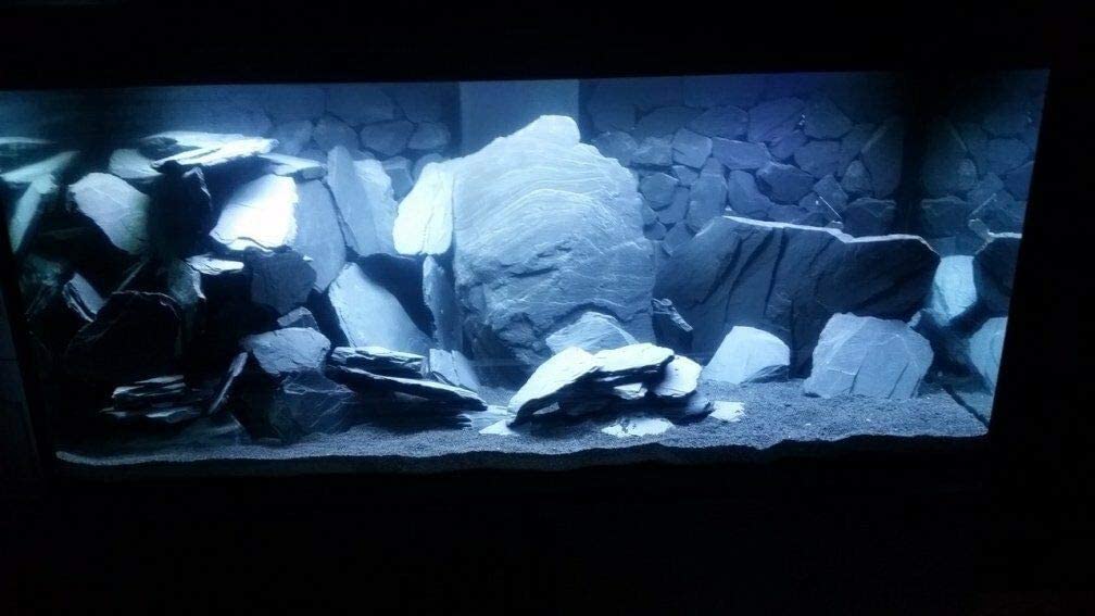 Aquarium Steine Naturstein 20 kg – Schieferstein Schwarz Natur Deko für Aquarium, Aquascaping Steine Set 80 cm, Felsen für Höhlen & Verstecke, pH-neutral