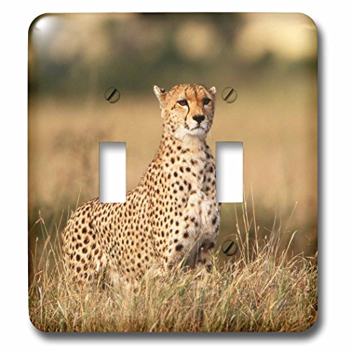 Guépard Kenya cache interrupteur de lumière 3dRose lsp_205769_2 motif animal sauvage Afrique