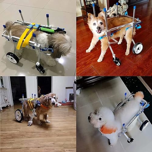 Voiture de marche assistée pour chien : offrez une seconde chance à votre compagnon - 3