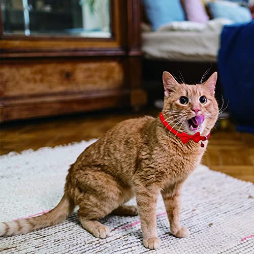 Miniatura 4 de Collares De Gato Separables De 6 Colores Con Campana, Collar Personalizado Con Linda Hebilla De Seguridad Con Pajarita, Collares Ajustables Para Mascotas