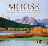 Moose of Yellowstone and Grand Teton