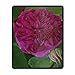 Produktbild Rose De Resht umweltfreundliches Tuch mit Neopren-Gummi Liil Mauspad Desktop Mousepad Laptop