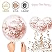 Rose Gold Birthday Party Decorations, Rose Gold Party Decorations Set for Girls Or Women, Happy Birthday Banner, Curtains, Table Runner, Balloons, Plates, Cups, Tissue for 24 Guest by JSN PARTY
