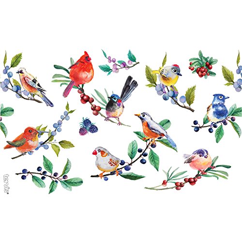 Image of Tervis Watercolor Songbirds Made in USA Double Walled Insulated Tumbler Cup Keeps Drinks Cold & Hot, 16oz, Clear