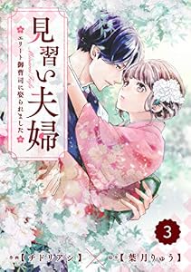 comic Berry’s見習い夫婦～エリート御曹司に娶られました～3巻 (Berry's COMICS)