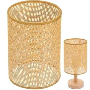Gatuida Woven Rattan Lamp Shade for Table Lamps Rustic Light Cover for Bedroom Living Room Hotel Cafe Decorative Diffuse Lighting Diameter