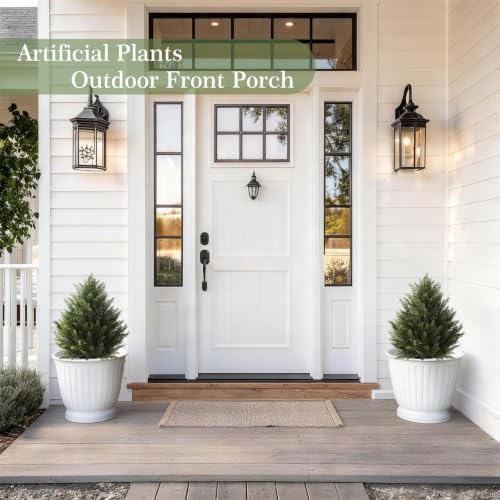 Vitalismo 2FT Artificial Cedar Trees Set of 2 for Outdoor Front Porch - image 7