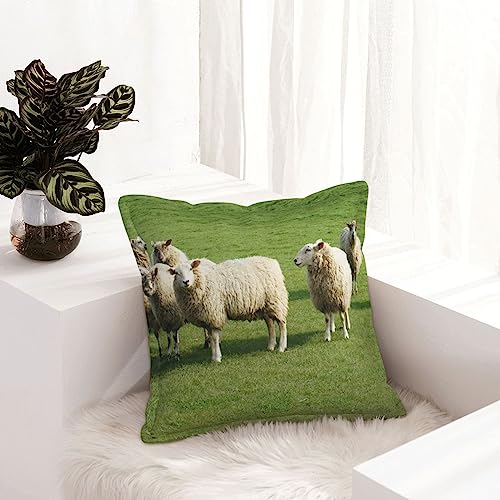 Housses de coussin décoratives style rustique pour relooker votre canapé