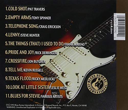 Hats Off to Stevie Ray: Vaughan Tribute 3