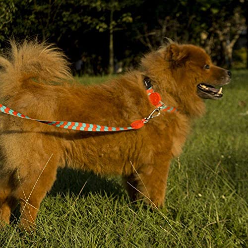 Super Guia para cachorros Honey