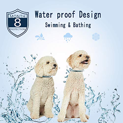 Kärcher - Tubo per idropulitrice, lungo 4 m