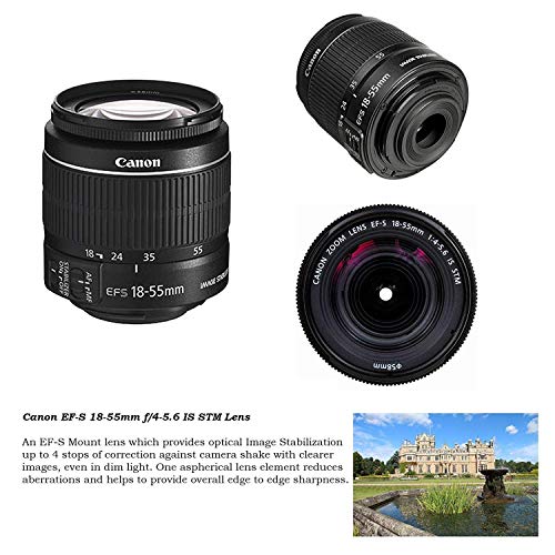 Cámara DSLR Canon EOS Rebel SL2 con lentes y accesorios miniatura 3