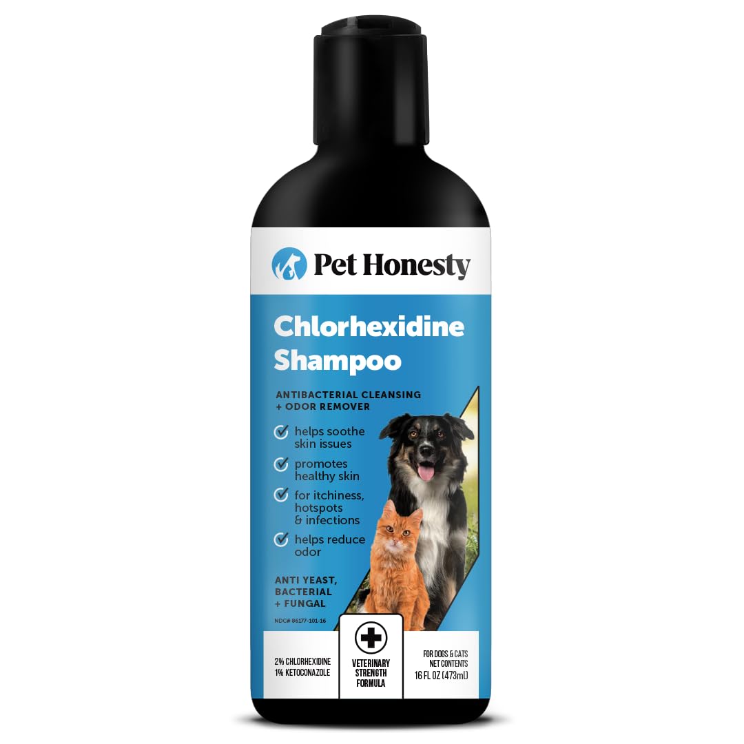 Pet Honesty Chlorhexidine Cat & Dog Seasonal Itch Relief Shampoo, for Allergies, Itching, Skin and Coat Supplement, Helps Shedding, Hot Spots, Deodorizing Dog Shampoo & Grooming Supplies,16oz
