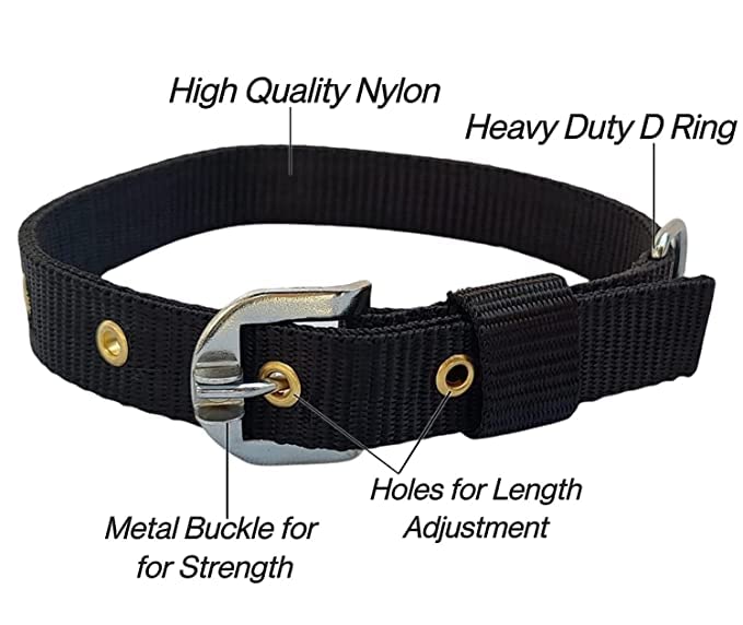 Image of Dog Export Quality Nylon Easy to Control Buckle Everyday Neck Collar Belt and Hand Weaved Durable Training Rope Leash Set (Black)