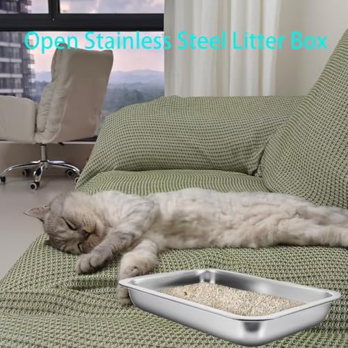 Kit para arenero pequeño de acero inoxidable para gatitos miniatura 6