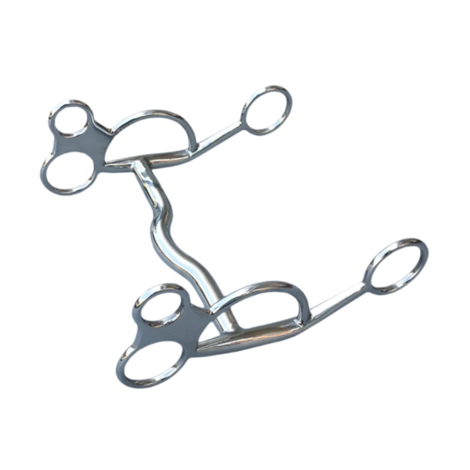 per cavallo in acciaio inossidabile, finitura splendida, di grandi dimensioni, comodo per l'addestramento e l'equitazione, piacevole per gli appassionati, filetto per
