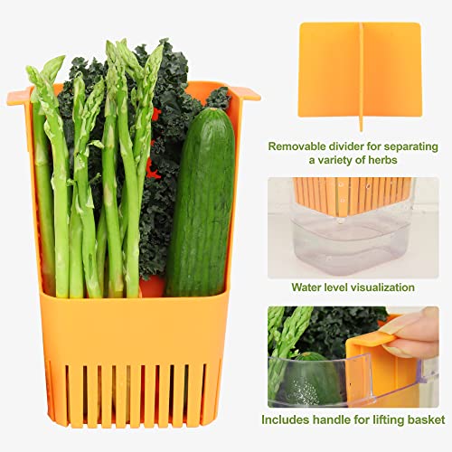 Image of LUVCOSY Fresh Herb Keeper for Refrigerator, Clear BPA-Free Herb Saver, Storage Container for Cilantro, Parsley, Thyme, Mint & Asparagus, Preserver Keeps Fresh Herbs for 3 Times Longer, Green & Orange