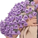 2-in-1 Handmade Crochet Magic Bloom Blanket