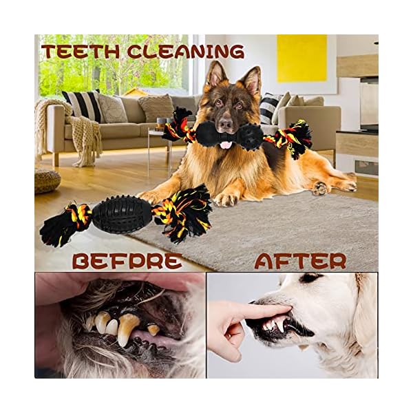6 Durable Chew Toys Gift