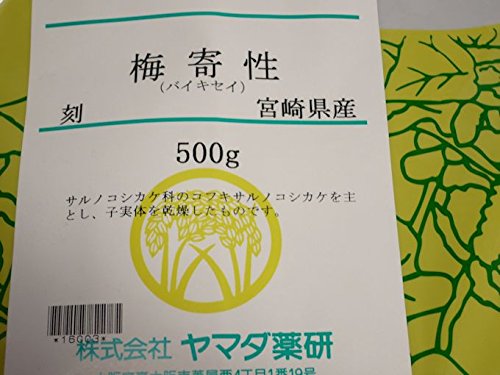 Amazon.co.jp: 梅寄性 [ ばいきせい] サルノコシカケ 500g 国産 1袋