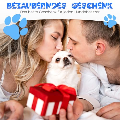 Hundemarke mit Gravur – ⌀30mm Robuster Hundeanhänger aus Edelstahl in Silber – Personalisierter Dog Tag mit Adresse auf der Rückseite (KNOCHEN SILBER)