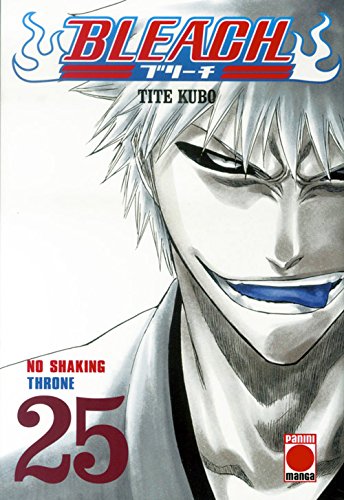 Bleach 25 (comic)