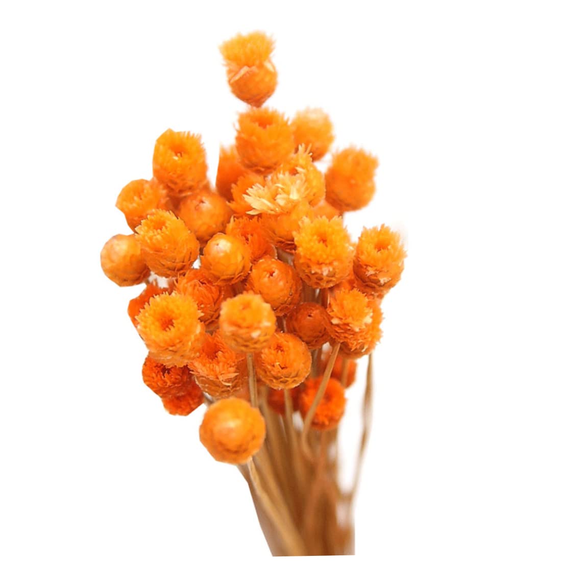 Bonalake Dried Daisy Bouquet Natural Dry Flowers Decoration in Vase Table Floral 50 Stems Orange dried flower bouquet daisy natural dry flowers