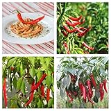 PICCANTEZZA MEDIA: Questi peperoncini offrono un livello di piccantezza equilibrato, perfetto per chi ama un sapore deciso ma non eccessivamente forte