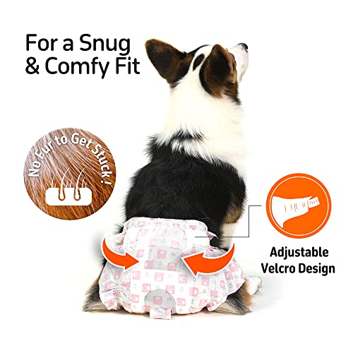 Image of BarkButler x FOFOS Diaper Male Dog M - Dog Diapers Male, Dog Diapers Male Small (Waist Size 24-41 cm, 10pcs) - White