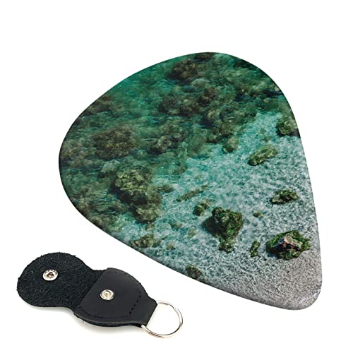 Lot de 6 médiators sous-marins imprimés récif corallien avec boîte de rangement pour guitare acoustique et électrique - Les Beatles, Paul McCartney, John Lennon, RIngo Starr, George Harrison Lot de 6 médiators sous-marins imprimés récif corallien avec boîte de rangement pour guitare acoustique et électrique