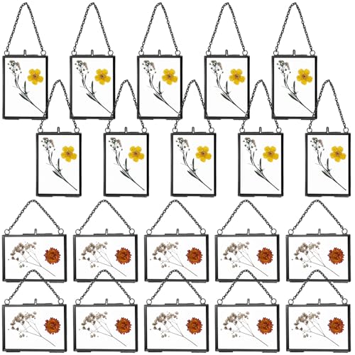 Kigley Double Glass Frame for Pressed Flowers Floating Hanging Photo Frame Gift for Graduation Mother's Day 3.5 x 2.5 in Brass Clear Decor with Chain for Display Gallery Artwork(Black,20 Pcs)