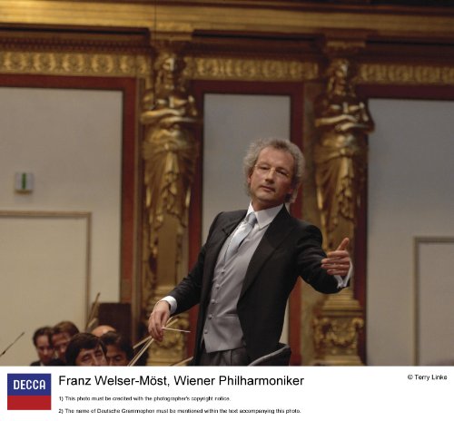 Neujahrskonzert 2011 - Image 4