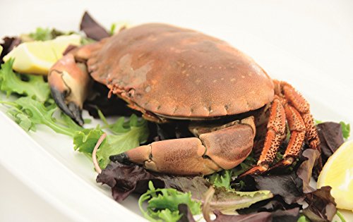 KC Blue Bestekset voor Zeevruchten, Roestvrij Staal, Kreeftbestek (8-Delig Zeevruchten bestek) - Zilver - Image 3