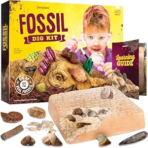 Real Fossil Dig Kit for Kids – Mega Science Kits for Boys & Girls Age 8-12 – Birthday Easter Gift Ideas for 8, 9, 10, 11, 12 Year Old Boy or Girl – Fossils Digging STEM Toys for Ages 8-13