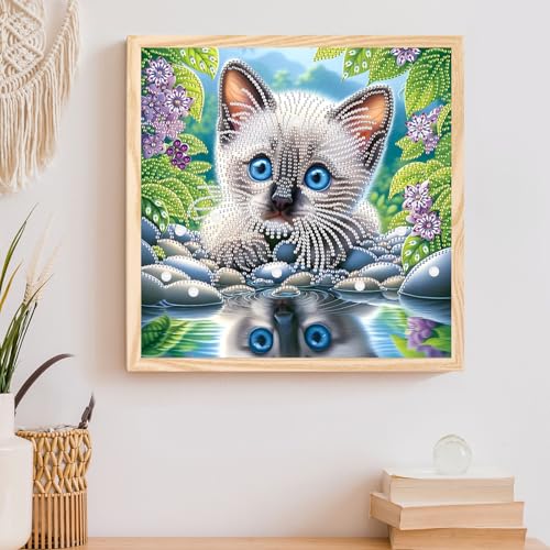 Image of Tontut Diamond Art Painting Kit, Blue Eyes Reflection Cat 5D DIY Special Shape Mosaic Crafts for Beginners and Adults, can be Gifted to Family and Friends, Great for Decorating Home and Office Walls