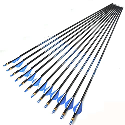 Best Compound Bow Arrows 29 Inch 340 Spine 2024 Where to Buy