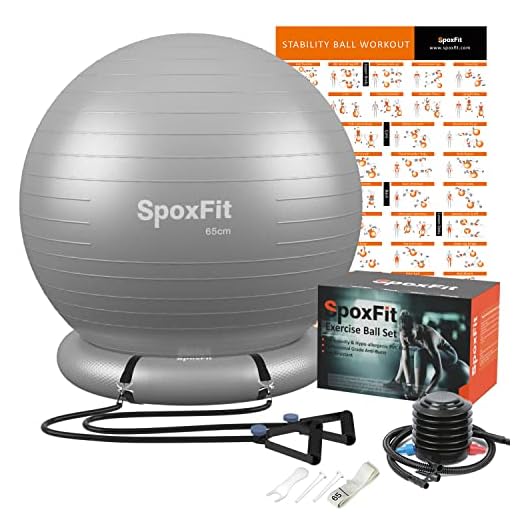 SpoxFit Ball Chair Yoga Ball Set, 65 cm Exercise Ball Chair with Base for Home Office, Stability Balance Ball with Resistance Bands Workout Poster, Home Gym Ball Anti Burst, Silver