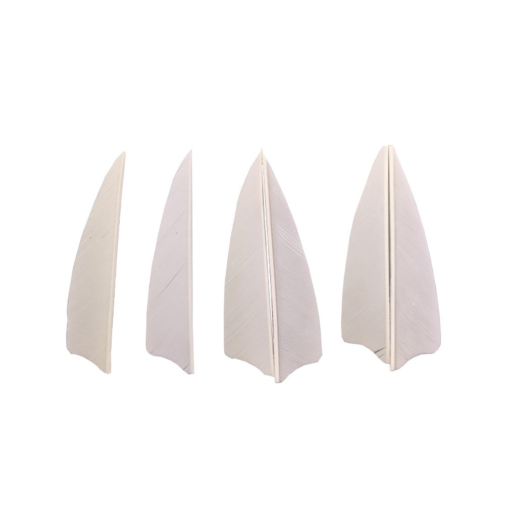SHARROW 50pcs Arrow Turkey Feathers 3 inch Natural Feather Fletching Right Wing Peltate (White) — image 1
