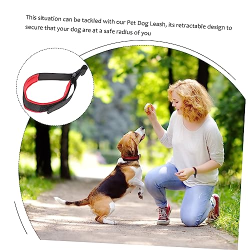 Laisse rétractable pour chien SUPVOX pour stopper les tractions et marcher confortablement
