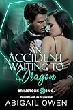 Cover zum Buch An Accident Waiting to Dragon
