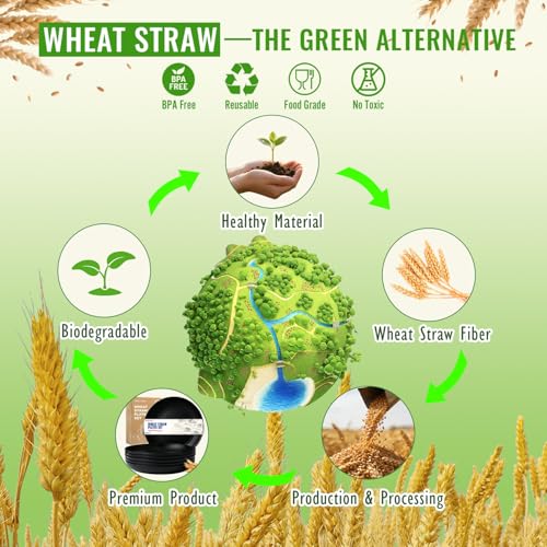 Image of 11In Large Wheat Straw Plates of 6, Plastic Plates Reusable, Black | Lightweight & Unbreakable Microwave & Dishwasher Safe Plates for Kitchen, Picnic, Party
