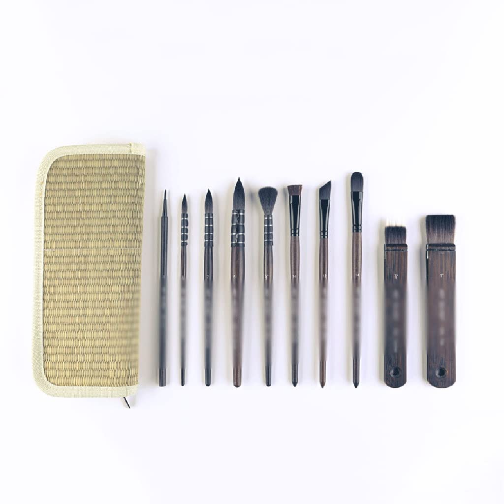 Lot de 10 pinceaux Aquarelle Multifonctions pour Cheveux, Outils d'art Acrylique
