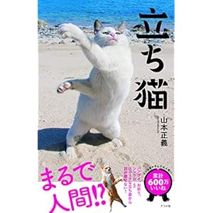 立ち猫
