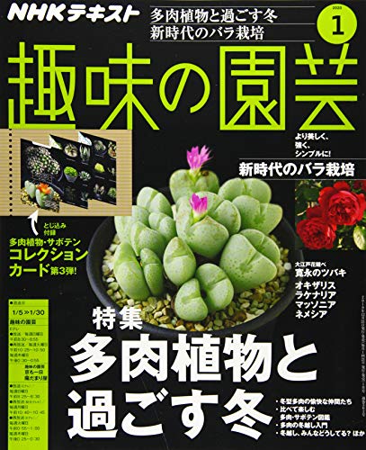 NHKテキスト趣味の園芸 2020年 01 月号 [雑誌]