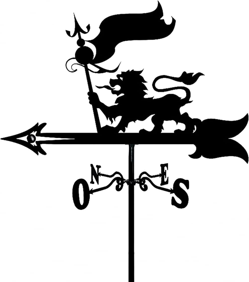 TAXXII Exquisite Metal Weather Vane Ornament Weathervane,Weather Stainless Steel Weathervane for Garden Creative Stake Wind Direction Indicator
