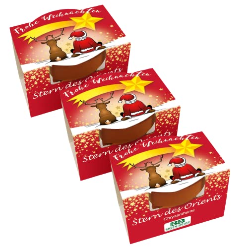 Bull & Bear 3er Set Mini Pflanzset 'Frohe Weihnachten' mit Samen für...