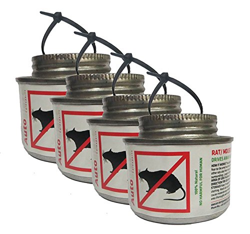 See full amazon price history chart for Autoglaze Car Rat Repellent (4 Pieces) Autoglaze Car Rat Repellent (4 Pieces) (B01FRMPXA2) Amazon Price History, Amazon Price Tracker