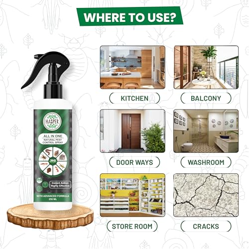 Image of Hasper All In One Insect Control Spray | Insect Repellent Spray | For Cockroach, Bed Bugs, Lizard, Spider, Fly, Centipede 100% Natural | No Kill Just Repel Easy To Use Non-Toxic (250Ml) | Pack of 1