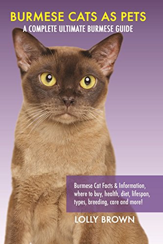 Burmese Cats as Pets: Burmese Cat Facts & Information, where to buy, health, diet, lifespan, types, breeding, care and more! A Complete Ultimate Burmese Guide