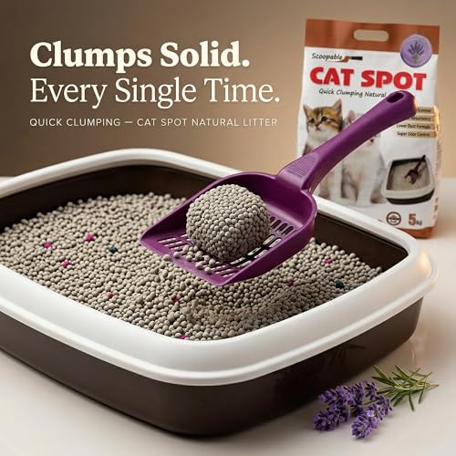 Image of CatSpot Lavender Flower Scented Cat Litter - 5kg | Ultra Absorbent, Quick Clumping, Odor Control, Dust-Free Formula for Cats (Pack of 2)